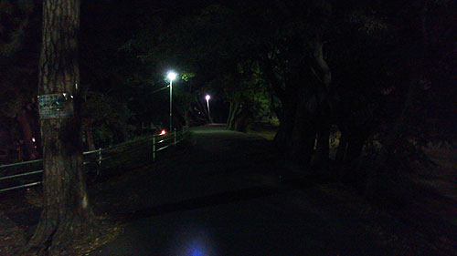 20131108-nightroad02.jpg