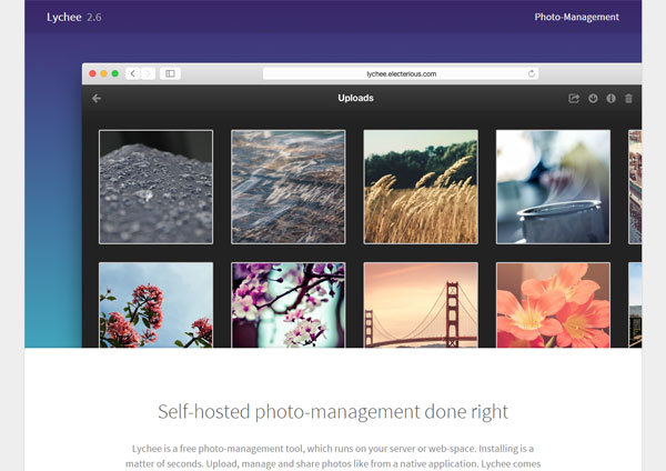 Lychee — Self-hosted photo-management done right